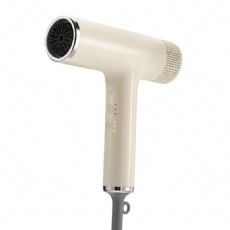 Professional Hair Dryer