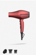 Professional Hair Dryer
